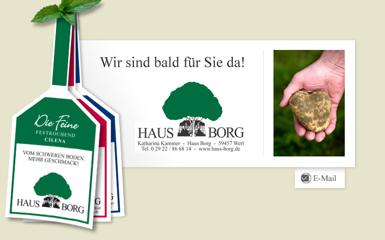 Haus Borg